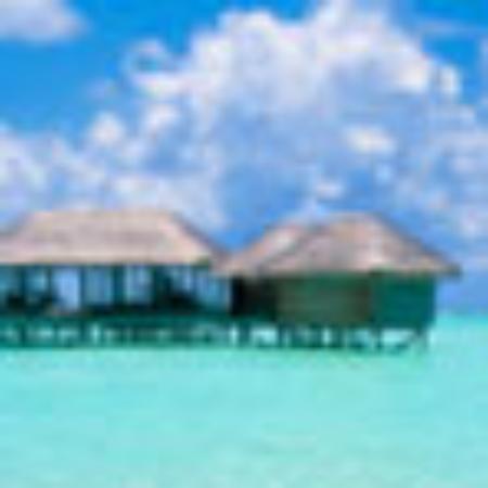 The Paramount Restaurant